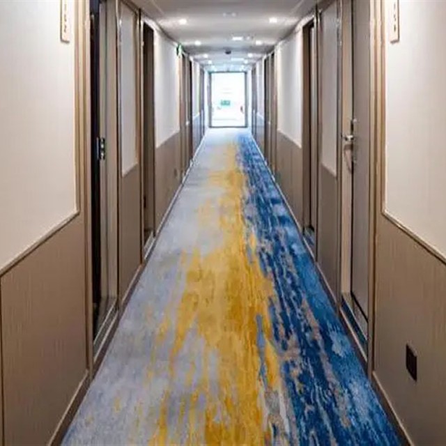 三峡长江观光号游轮