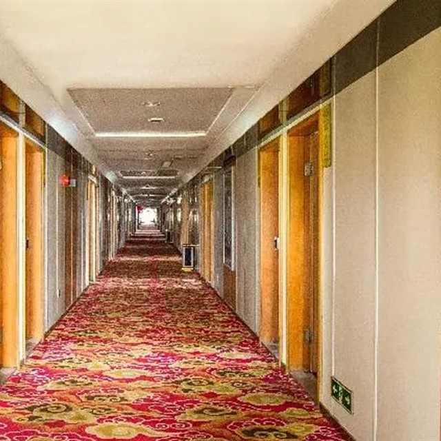 三峡新高湖游轮